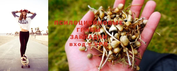 ГАЛЛЮЦИНОГЕННЫЕ ГРИБЫ Богородицк