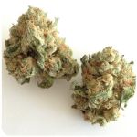 Шишки "White Widow"  (Белая вдова)  Гидропоника -  Бошка VHQ в Болотном