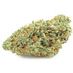 Шишки OG Kush  (Гидропоника, бошки) VHQ в Болотном